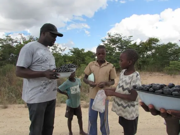 Mr. Robert Chukucha negotiates the price of tsubvu with the young entreprenours..JPG