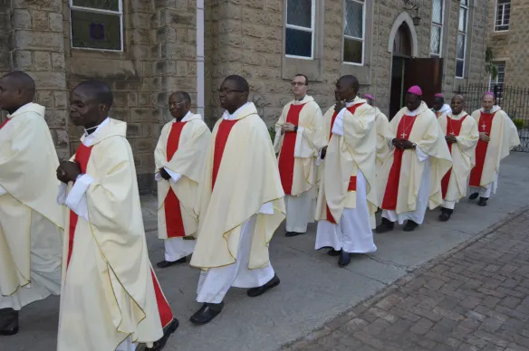 Priests and bishops in a procession for a mass to mark the end of the plenary in Harare.